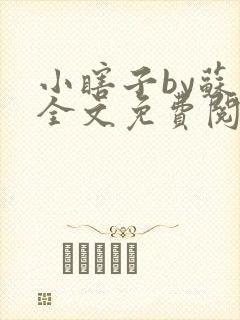 小瞎子by苏软全文免费阅读