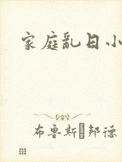 家庭乱日小说