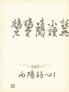 鹧鸪哨小说网站免费阅读无弹窗