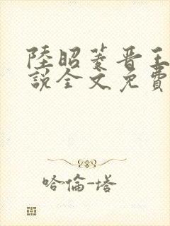 陆昭菱晋王的小说全文免费阅读