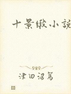 十景缎小说