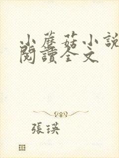 小蘑菇小说免费阅读全文