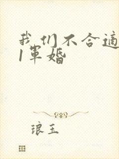 我们不合适1v1军婚
