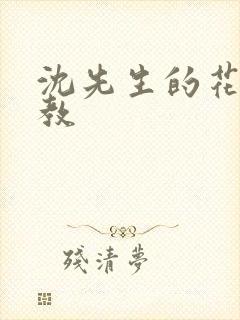 沈先生的花式调教