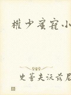 权少蜜宠小娇妻