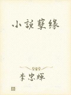 小说孽缘
