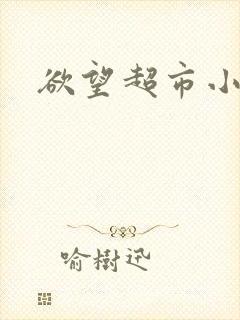 欲望超市小说