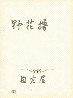 野花撸