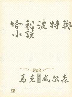 哈利波特与密室小说