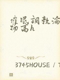 催眠调教沦为玩物高h