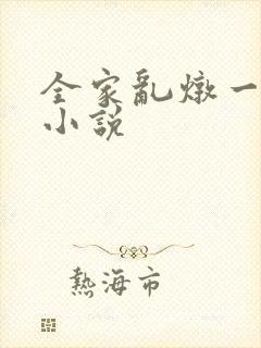 全家乱炖一锅烩小说