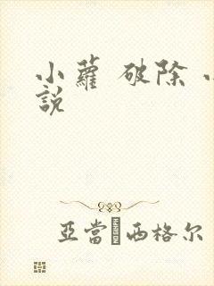 小萝 破除 小说