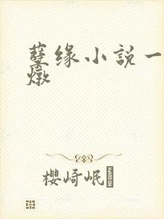 孽缘小说一家乱炖