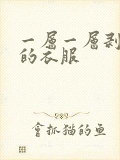 一层一层剥开我的衣服