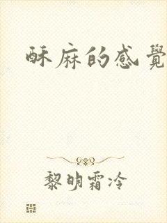 酥麻的感觉小说