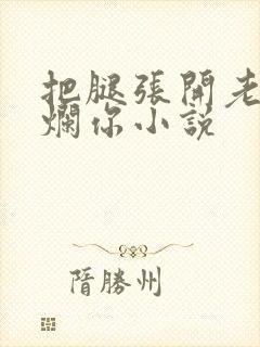 把腿张开老子臊烂你小说