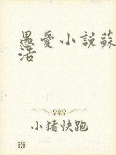 愚爱小说苏倩孙浩