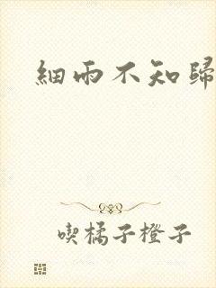细雨不知归