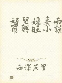 好儿媳秦雨罗明罗兴旺小说