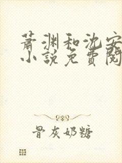 萧渊和沈安安的小说免费阅读