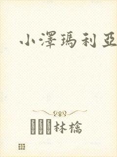 小泽玛利亚作品