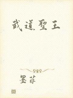武道圣王