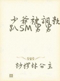 少爷被调教室跪趴SM男男