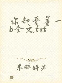 你却爱着一个sb全文txt封面