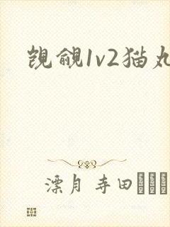 觊觎1v2猫丸