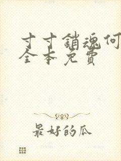 寸寸销魂何生祥全本免费