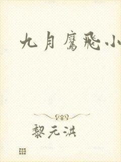 九月鹰飞小说