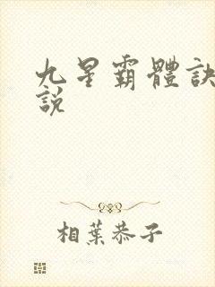 九星霸体诀 小说