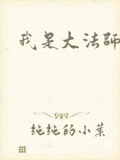 我是大法师