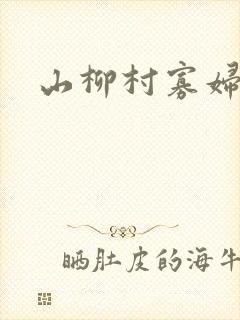 山柳村寡妇情史