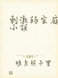 刺激的家庭乱仑小说