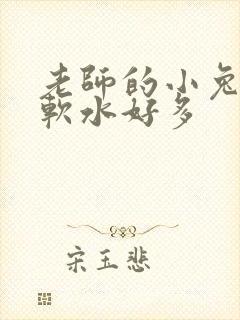 老师的小兔子好软水好多