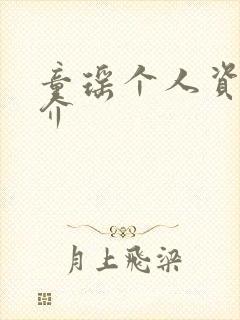 童瑶个人资料简介