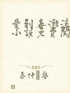 爱到春潮滚滚来小说免费阅读