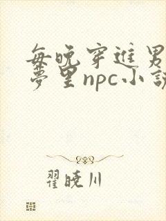 每晚穿进男神的梦里npc小说