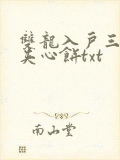 双龙入户三人行夹心饼txt