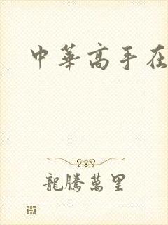 中华高手在异世