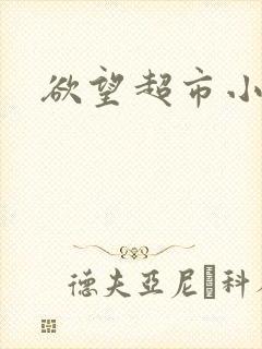 欲望超市小说