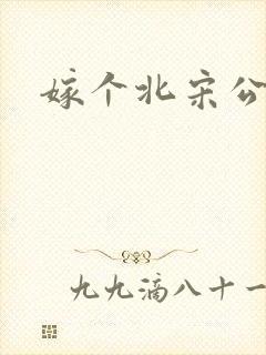 嫁个北宋公务员