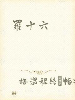罗十六