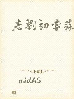 老刘初尝苏荷媳