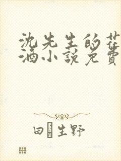 沈先生的花式调酒小说免费阅读