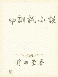 sp训诫小说