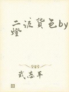 《二流货色by尾灯》小说封面