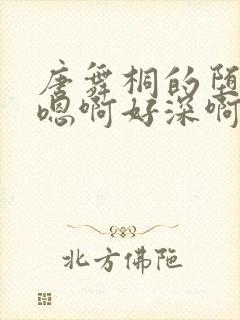 唐舞桐的堕落H嗯啊好深啊