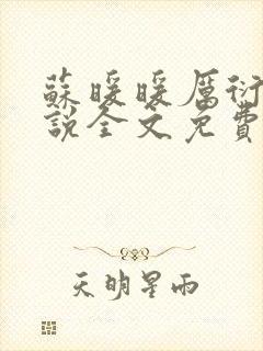 苏暖暖厉衍琛小说全文免费阅读